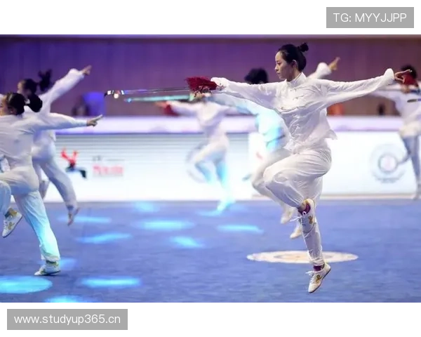 以武术入奥计划为核心推动中华传统体育国际化新路径研究实践